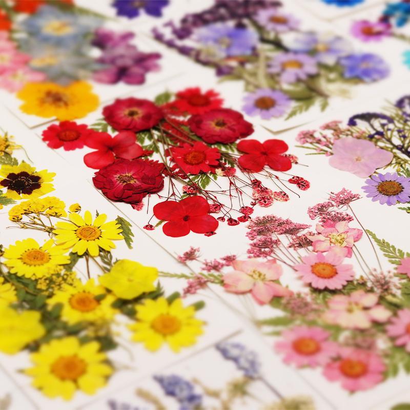 本物の天然乾燥植物の花 DIYクラフト材料 ネイルアート、手 - Resin Craft Ideas のレビューと価格