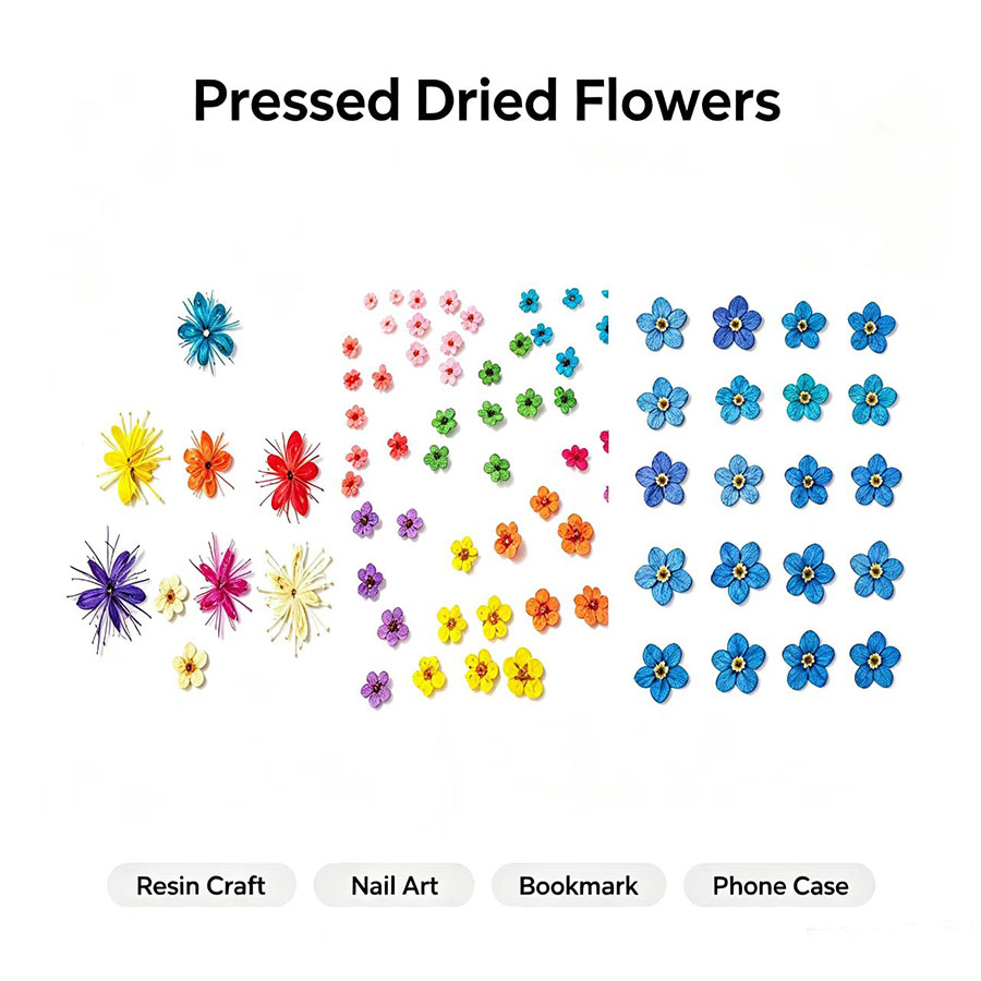 60個入り ミニ押し花 - 写真立て、レジンジュエリー、スマ - Resin Craft Ideas のレビューと価格