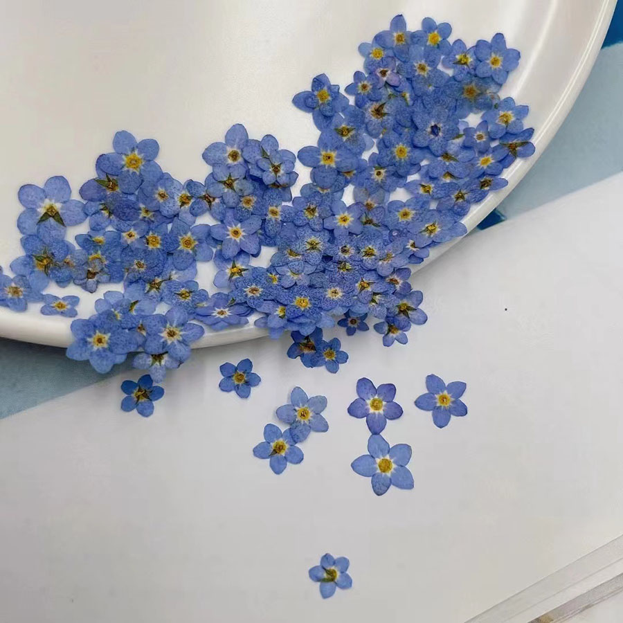 60個入り ミニ押し花 - 写真立て、レジンジュエリー、スマ - Resin Craft Ideas のレビューと価格